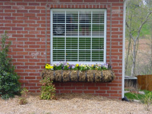 BELLY PICKET FLOWER BOX